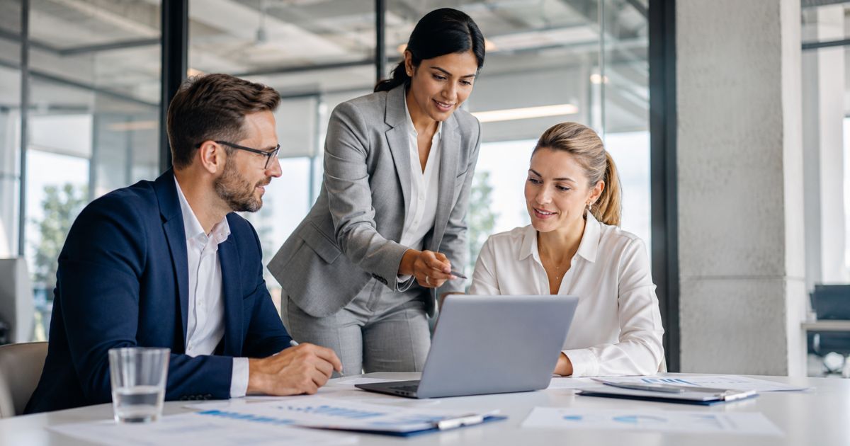 Microsoft Dynamics Consulting & Inhouse